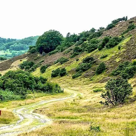 אכסניה Danhostel Rebild