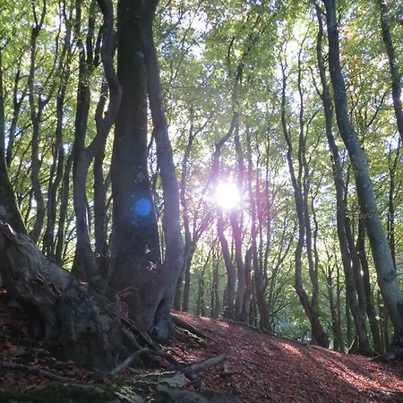 Danhostel Rebild אכסניה גמל סקורפינג