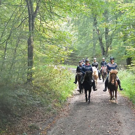 אכסניה Danhostel Rebild *