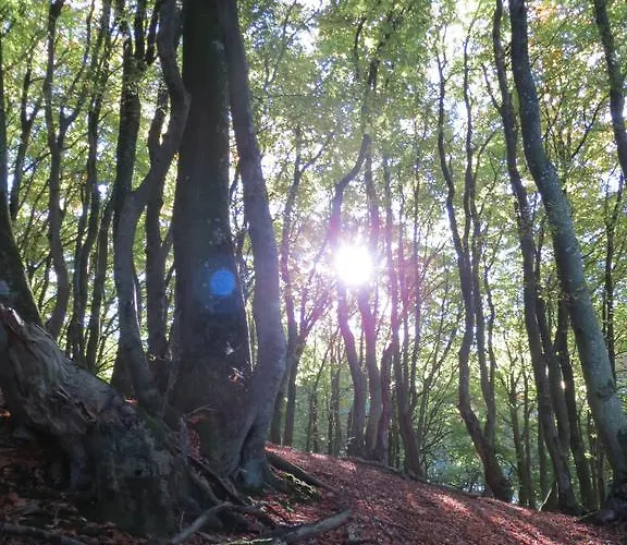 Danhostel Rebild Ostello Skorping